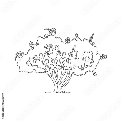 Single one line drawing of exotic Japanese sakura tree for home art wall decor poster print. Cherry blossom plant concept for national park logo. Modern continuous line draw design vector illustration