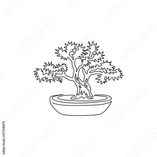 Single continuous line drawing of beauty and old exotic bonsai tree for home decor wall art poster print. Decorative bonsai plant for plant shop logo. Modern one line draw design vector illustration