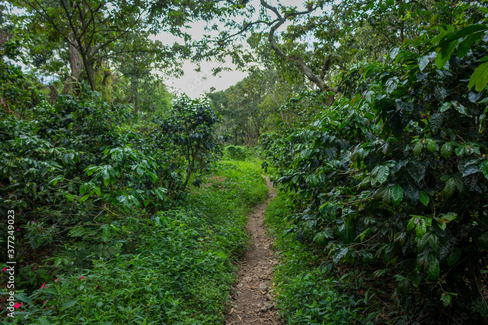 Obraz premium Dirt roads in the middle of the mountain