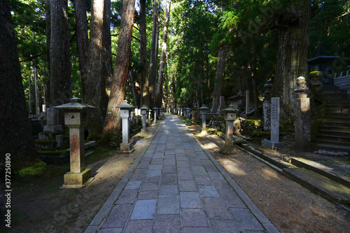 Okunoin Temple, Koyasan,
Wakayama Pref., Japan photo