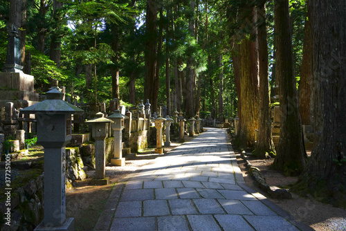 Okunoin Temple, Koyasan,
Wakayama Pref., Japan photo