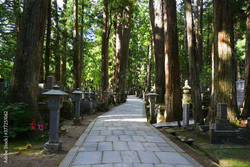 Okunoin Temple, Koyasan,
Wakayama Pref., Japan photo