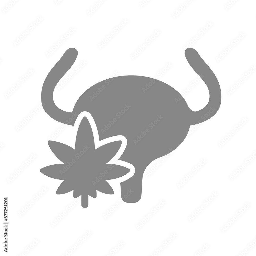 Human urinary bladder with marijuana gray icon. Anesthesia symbol Human urinary bladder with marijuana gray icon. Anesthesia symbol