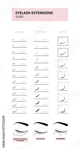 Eyelash extension guide depicting types of false lashes vector illustration.