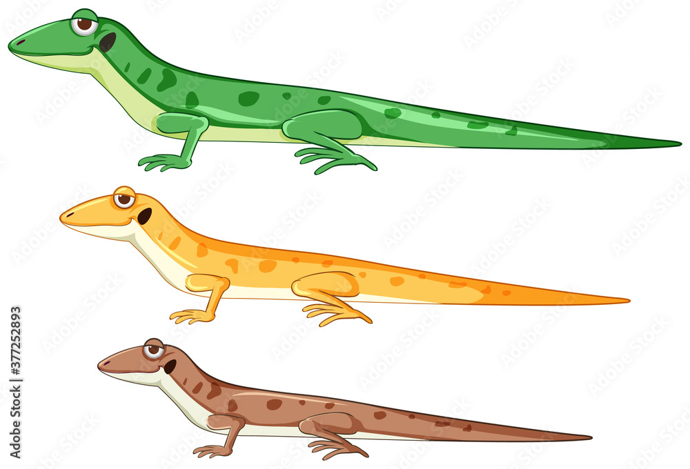 Fototapeta premium Geckos or lizards in different color cartoon style isolated