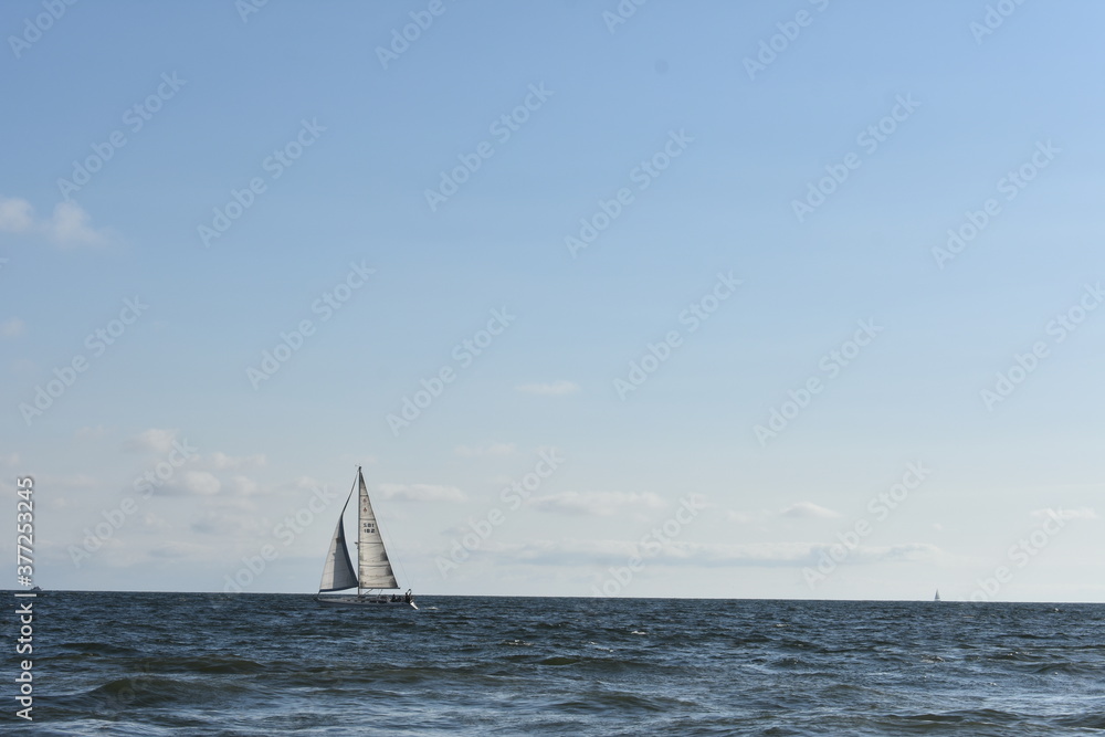 Fototapeta premium sailing on the sea