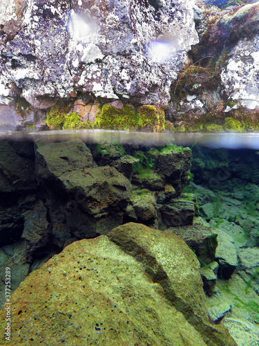 Above and below the water looking at a mossy rock in Silfra  Iceland