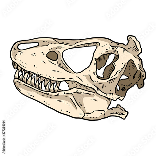 Trex fossilized skull hand drawn comic style image. Carnivorous reptile dinosaur fossil illustration drawing. Vector stock outline silhouette