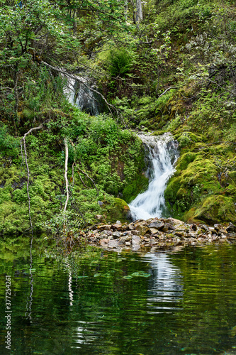 waterfall in the forest © PekkaLinna