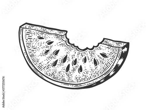 bitten slice of watermelon sketch engraving vector illustration. T-shirt apparel print design. Scratch board imitation. Black and white hand drawn image.