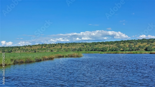 Blue calm river. The banks are overgrown with green grass. There are white clouds in the azure sky. Botswana. Chobe Park.