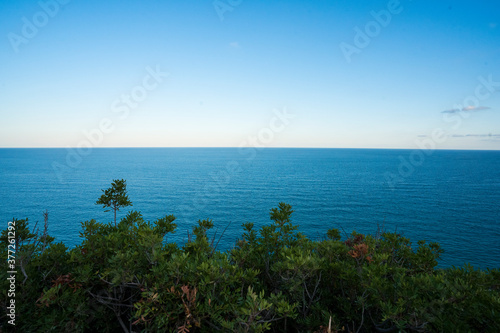 mar con arbustos delante y cielo azul