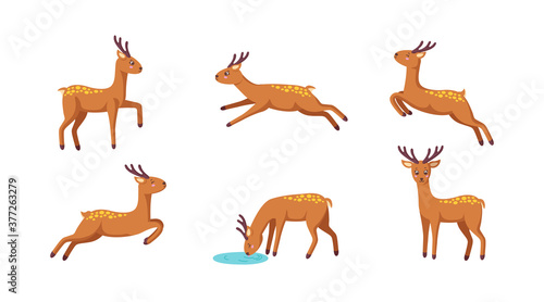 Set of cheerful reindeers. Jumping, standing, running, drinking reindeer in cute cartoon style. Isolated vector illustration
