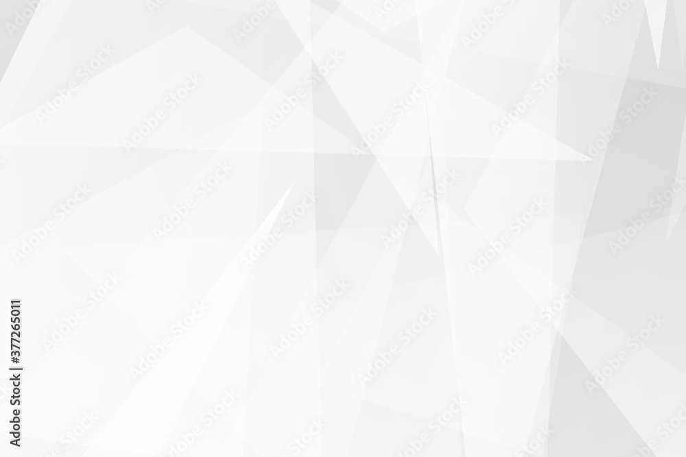 Fototapeta premium Abstract white and grey on light silver background modern design. Vector illustration EPS 10.