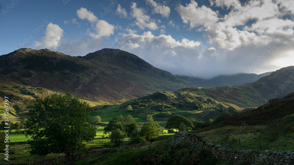 Fototapeta premium The Sun setting cast long shadows over Blea Marsh a small area of the Lake District