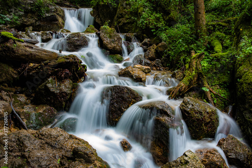 waterfall in the forest