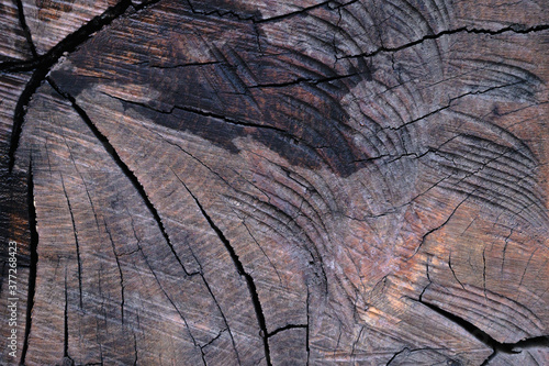 The abstract background of the old wooden surface is wet after rain.