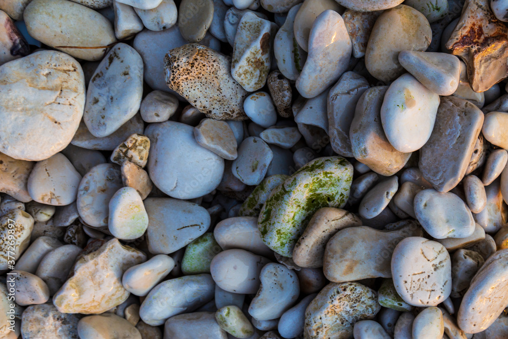 Rock formations on the Adriatic Sea in summer, under warm evening light Rock formations on the Adriatic Sea in summer, under warm evening light