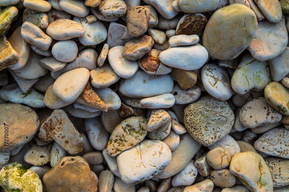 Rock formations on the Adriatic Sea in summer, under warm evening light