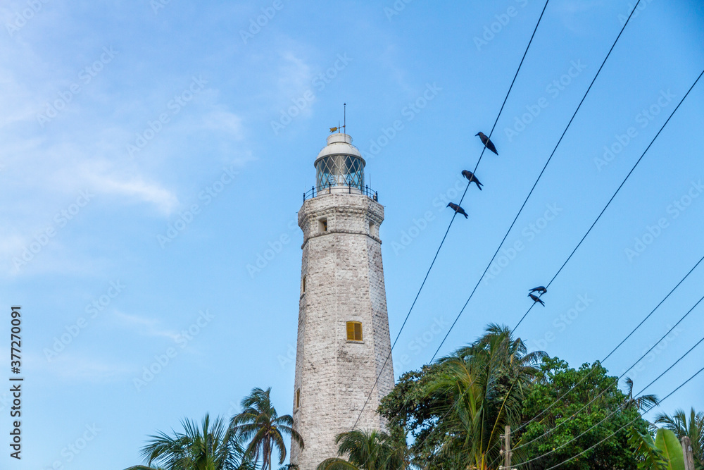 A lighthouse on the south coast of Sri Lanka, flanked by palm trees