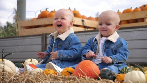 Special bond between twins. Twin babies communicating with each other, one of them is laughing. Sisters in the pumpkin patch  photo