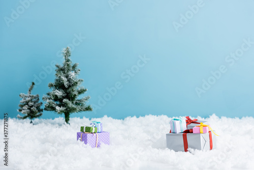 presents on white snow near christmas trees isolated on blue