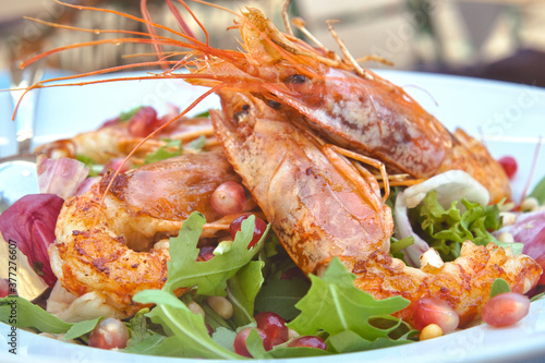 Delicious light shrimp salad with arugula  cherry tomatoes  parmesan cheese and garnet seeds