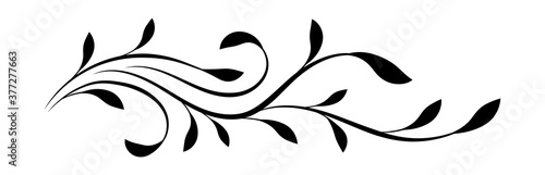 Decorative floral ornament isolated on white background