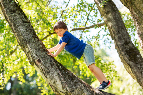 childhood, leisure games and people concept - happy little boy climbing tree at summer park