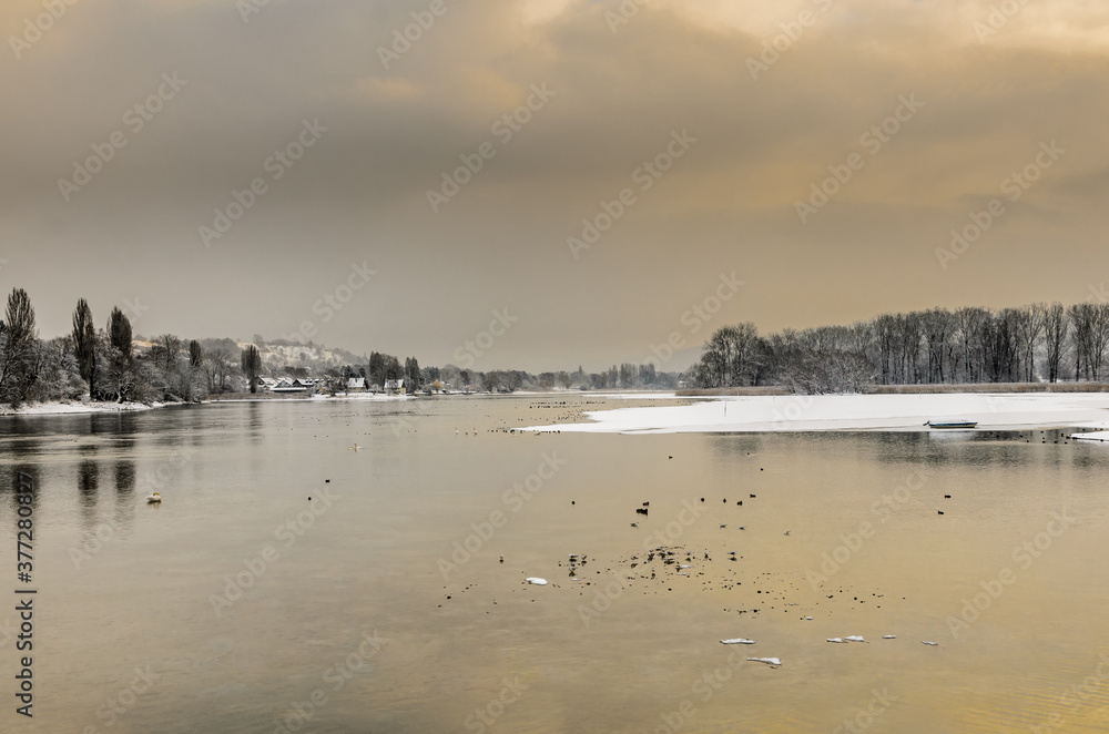 Winterliche Landschaft am Rhein bei Stein am Rhein, Kanton Schaffhausen, Schweiz