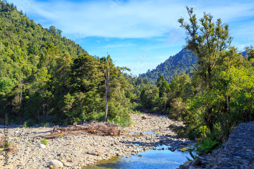 A forest landscape with a stony riverbed in the Kauaeranga Valley, Coromandel Peninsula, New Zealand