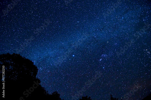 beautiful milky way across over the sky  in tropical forest on top of the mountain at northern of Thailand.