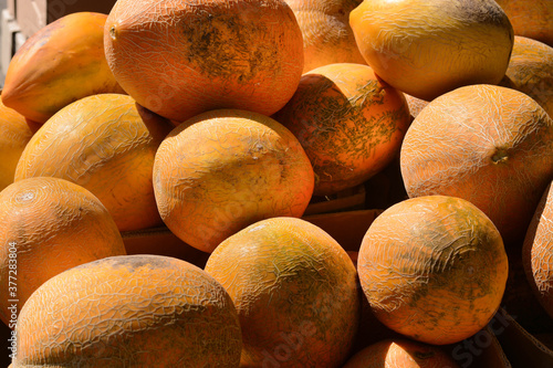 image of a bunch of 
melons on market.