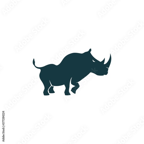 Rhino illustration