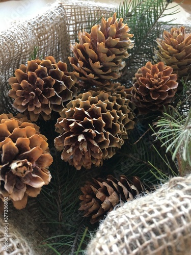 christmas decoration with cones