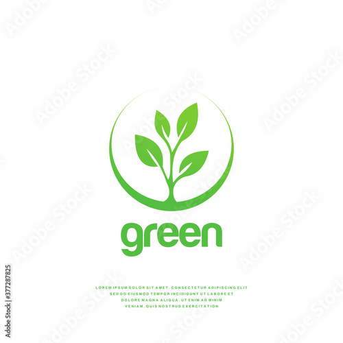Leaf concept in the half moon circle logo designs vector