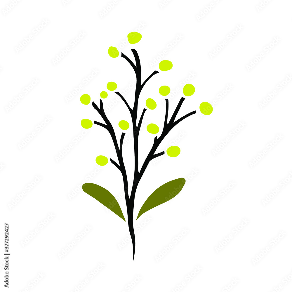 Sketch of a plant with leaves and berries. Vector isolated element for design. 