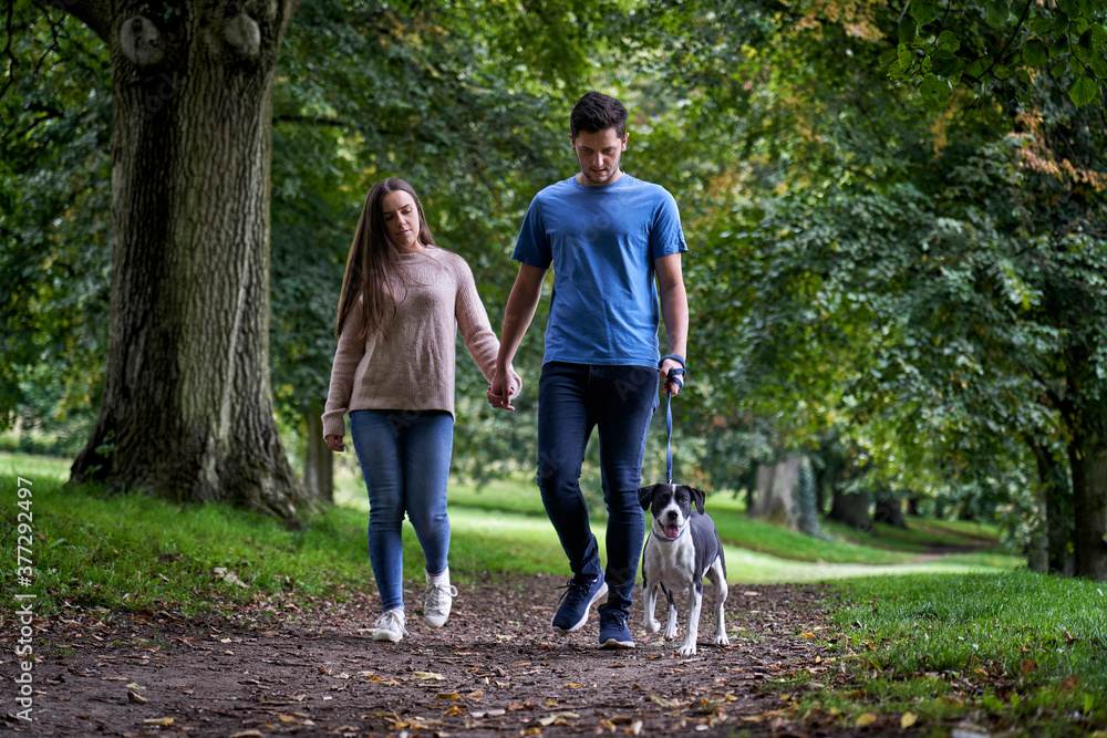 Obraz premium Young couple walking dog