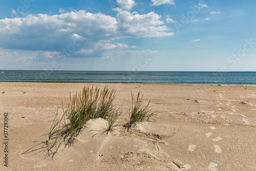 Wild beach landscape near Prymorske, Ukraine. photo