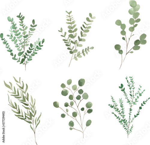 Eucalyptus Watercolor Clipart Set