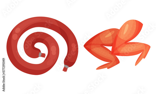 Meat Products with Chicken Wings and Sausage Vector Illustration