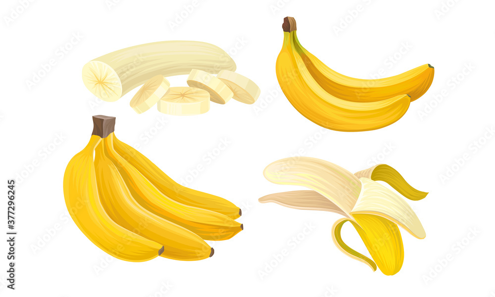 Bunch of Yellow Banana as Exotic Fruit Vector Set