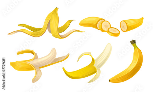 Peeled Yellow Banana as Exotic Fruit Vector Set