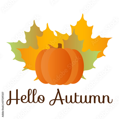 Hello autumn quote with orange maple leafes and pumpkin