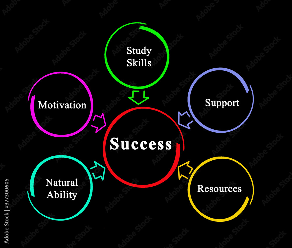 Five drivers of success