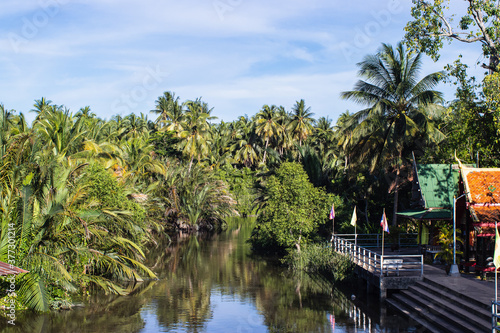 The coconuts garden on the bank of the canal in Amphawa.
