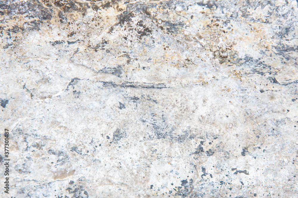 Obraz premium background and texture of the surface of the ground. Forest trodden path.
