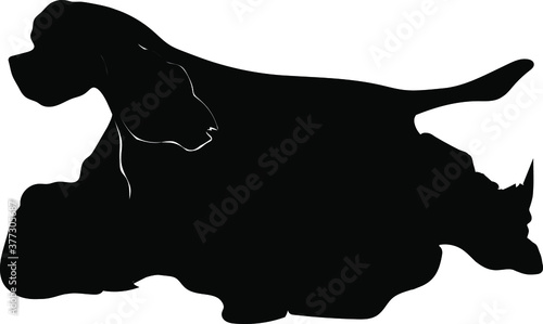 American cocker spaniel dog in trot movement vector illustration silhouette 