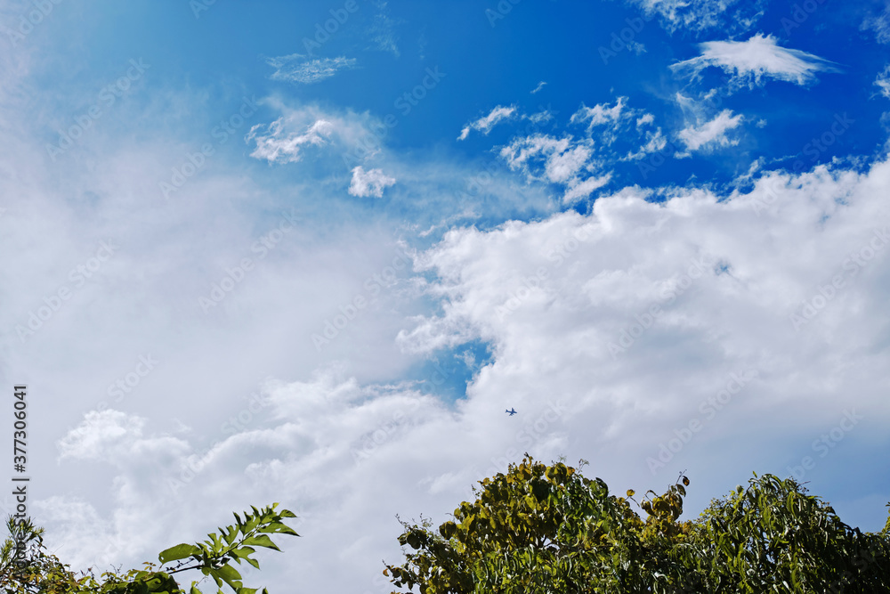 Obraz premium 遠くを通過した台風が連れてきた雲