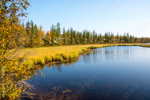 Lake in the forest, autumn landscape